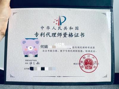 知識(shí)產(chǎn)權(quán)師與專(zhuān)利代理師 企業(yè)管理中的專(zhuān)業(yè)護(hù)航者